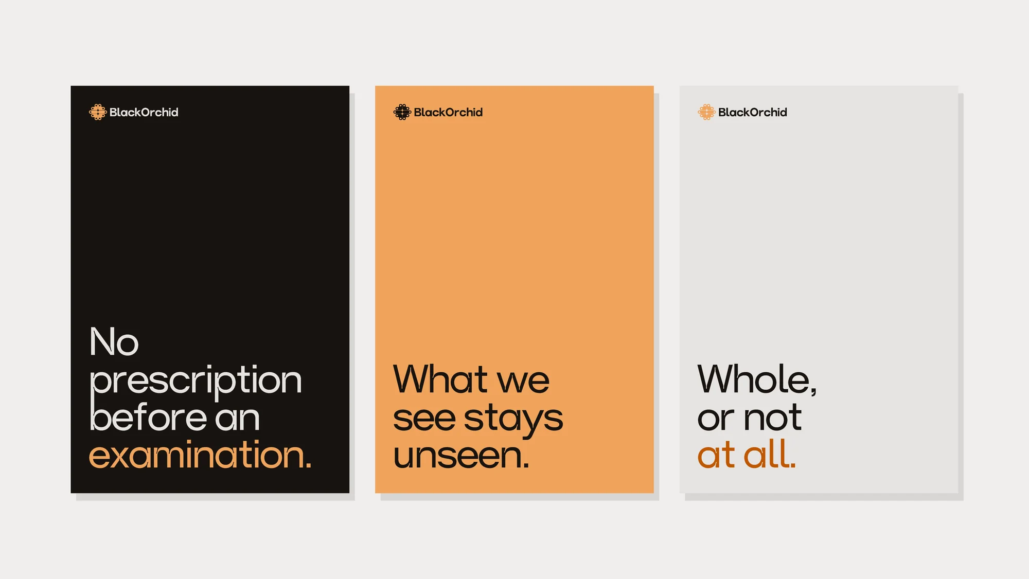 Three posters side by side in black, ember and platinum, reading No prescription before an examination, What we see stays unseen, and Whole, or not at all.
